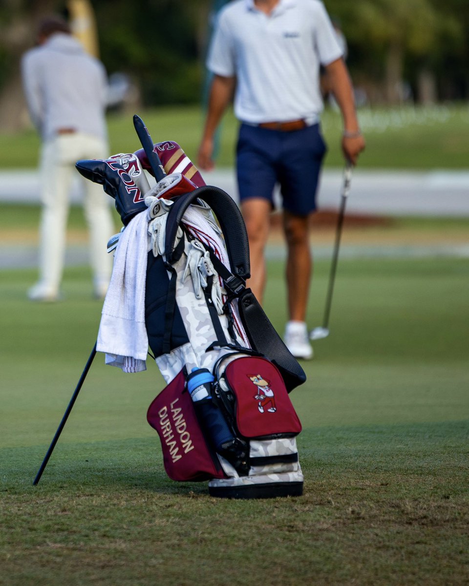 ElonGolf's tweet photo. let’s have a day 🤝

#PhoenixRising https://t.co/FFLmTVOENd