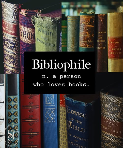 Mathilde Nieuwenhuis 🧛🏻‍♀️🌹 tweet media