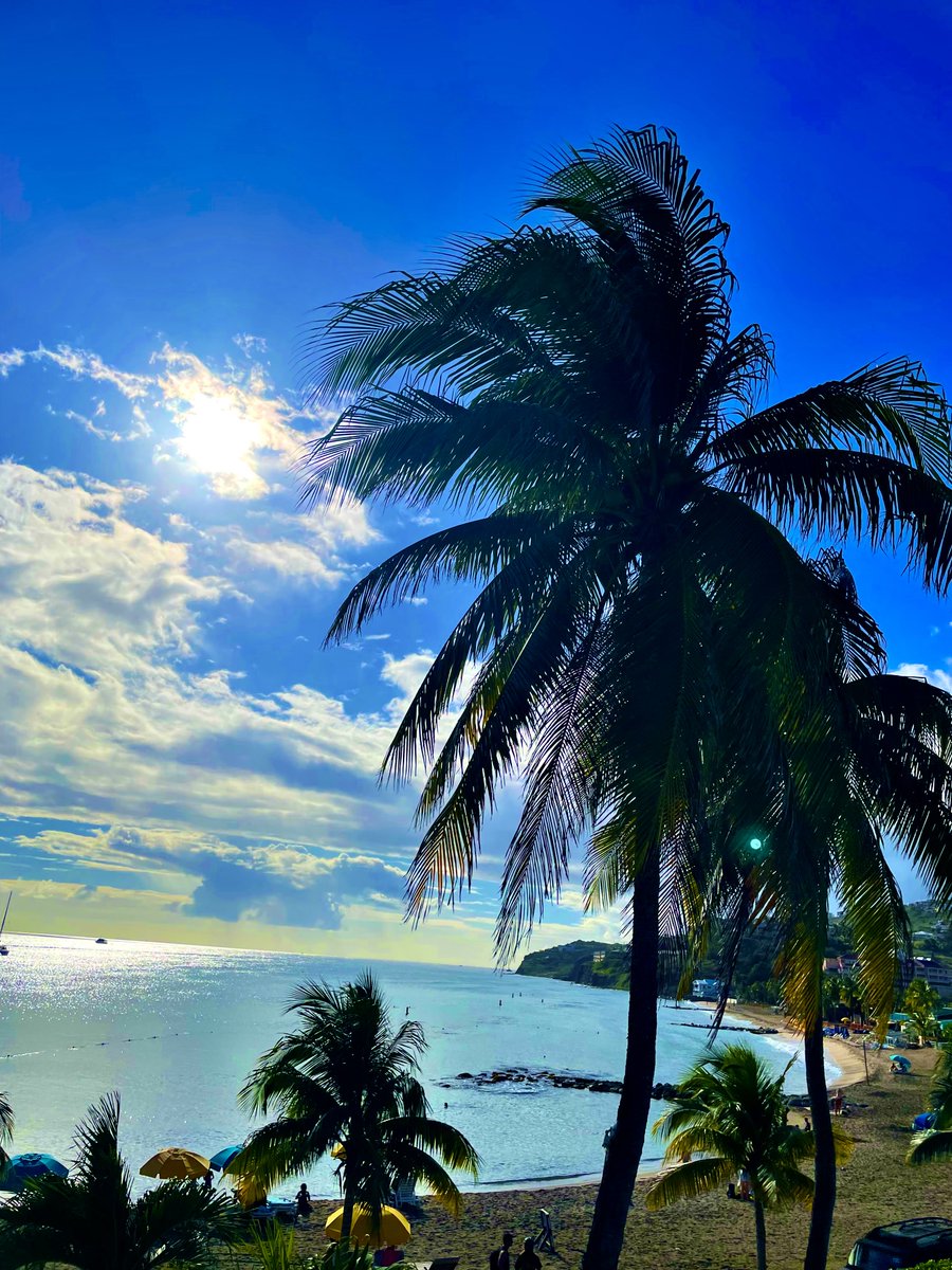 TimothyBeachRes's tweet photo. Get paradise in the palm of your hand. Join us! https://t.co/pbgqH1MV6V