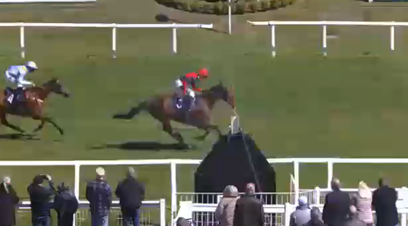 Racing Point Tips 🏇 tweet media