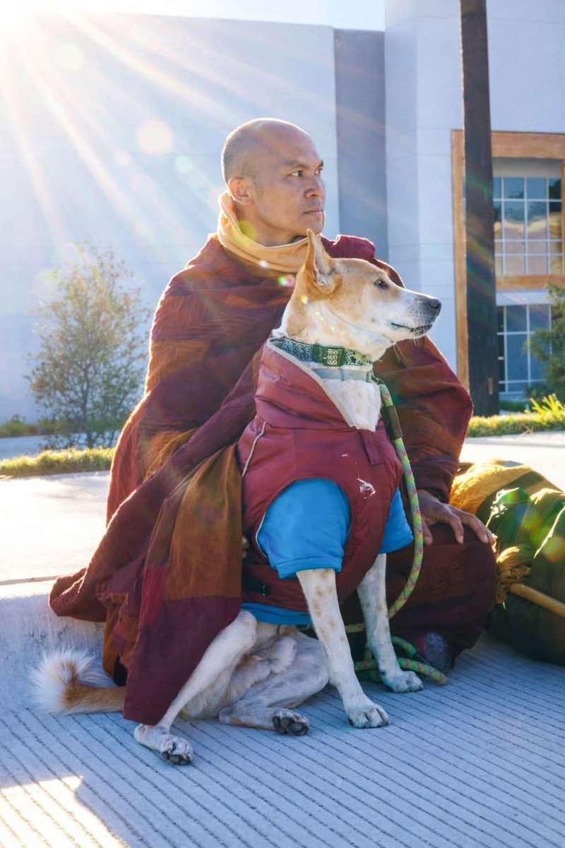 TahiraS13553's tweet image. Just say Hi ! So know you are still active.
#Aloka
#Dog