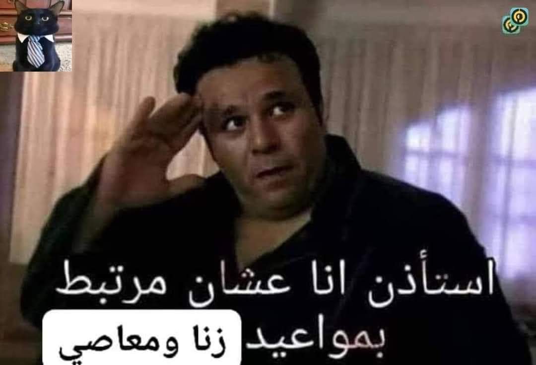 Cats mommy tweet media