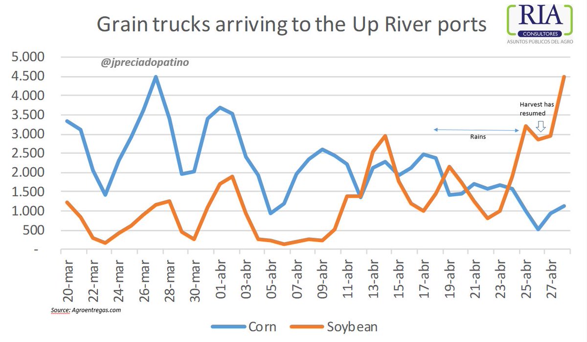 jpreciadopatino's tweet image. #soybeans is here!