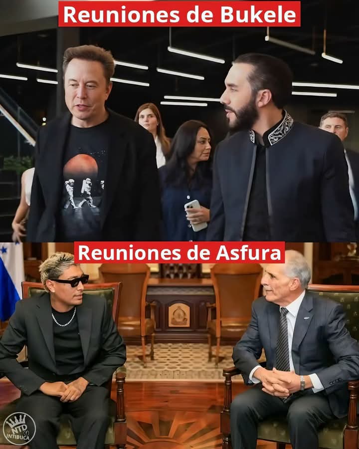 Edwin P. Castellanos tweet media