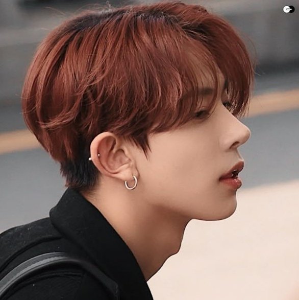 안나 ☆ fan acc tweet media