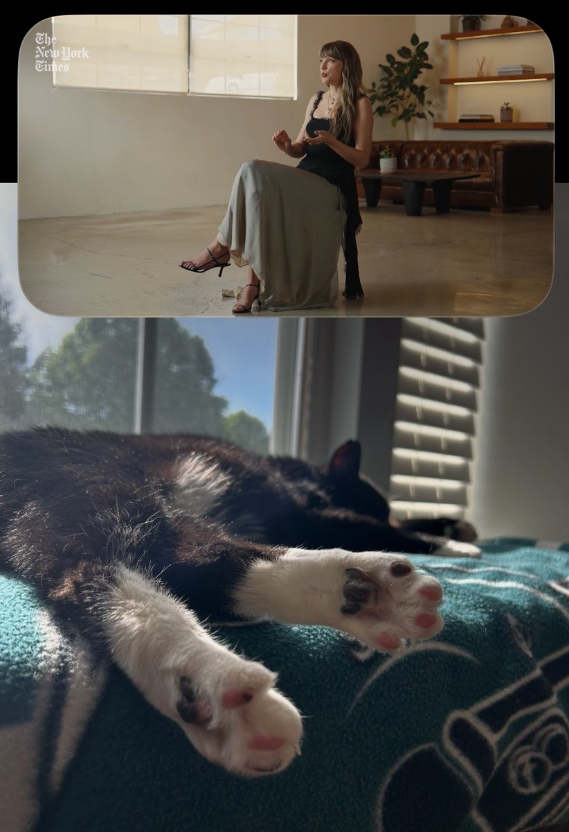 Abby 🦋Debut stan🦋 tweet media