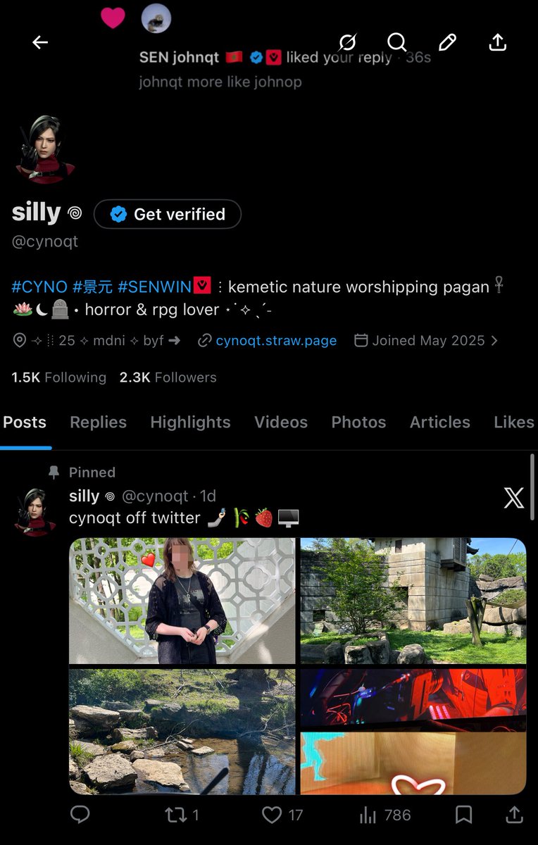 silly 𖦹 tweet media
