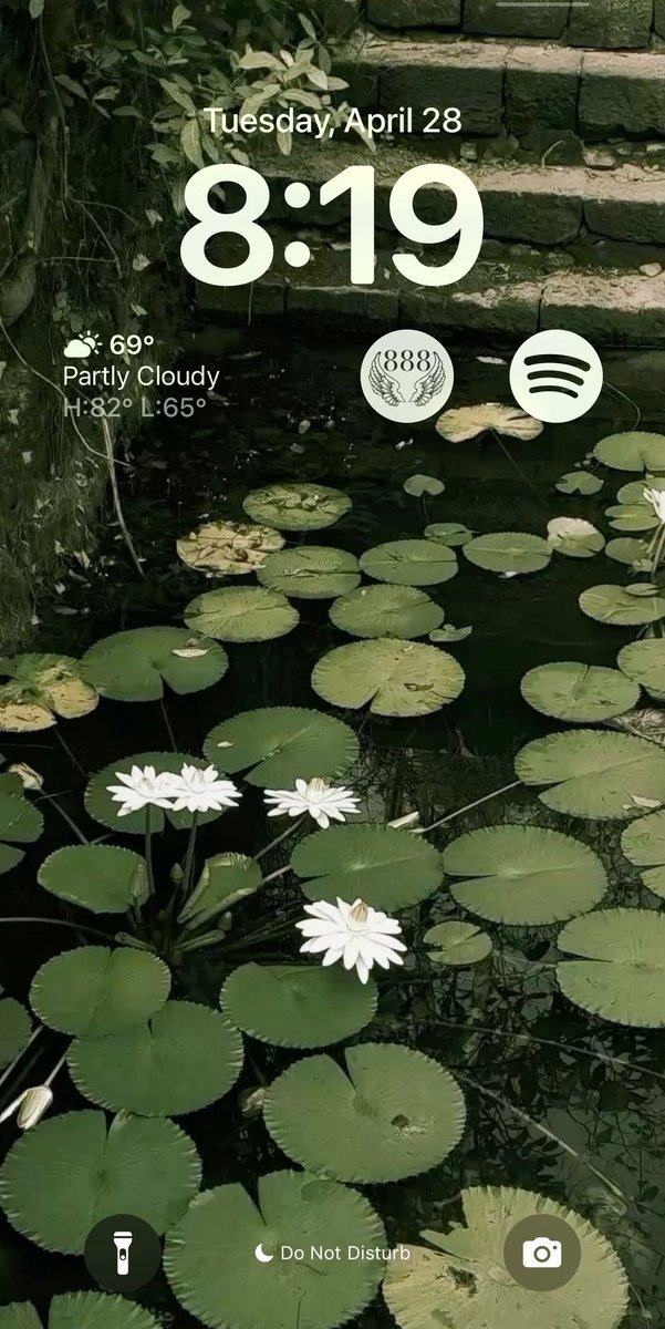 silly 𖦹 tweet media