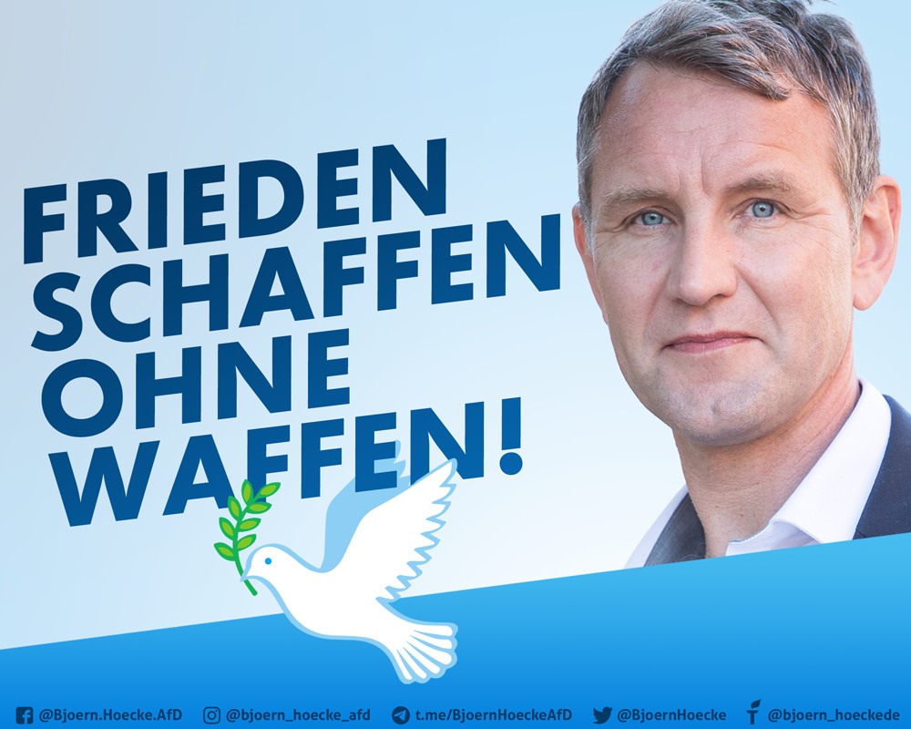 AfD-Homer tweet media