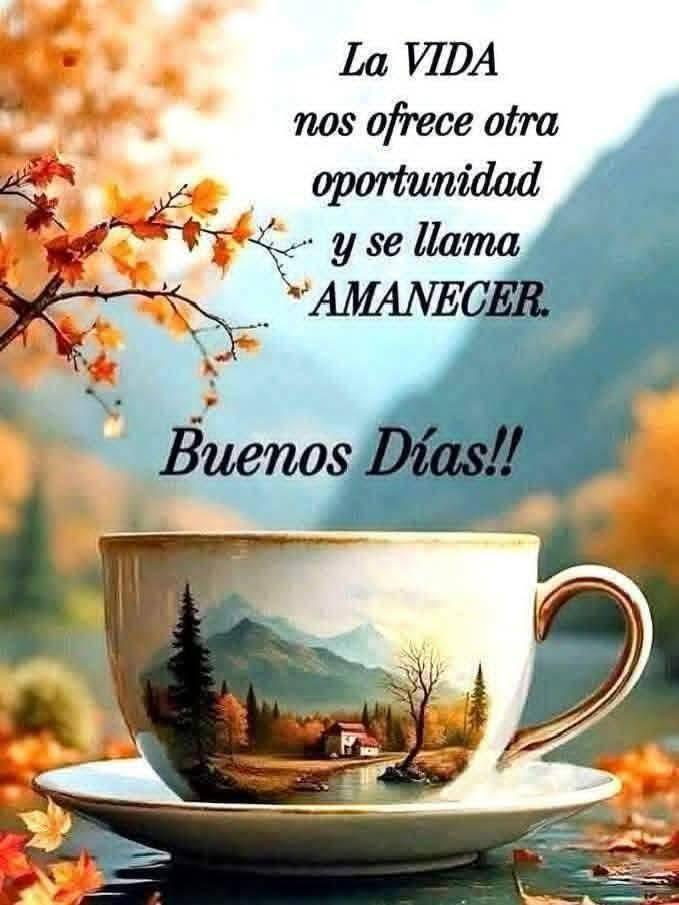 PepeNaranjo1's tweet image. #Hoy #AlDía #ÚltimaHora #AlMomento

☀️ #BuenosDías que hoy #martes #28deAbril2026 sea una jornada plena de éxitos laborales y #Bendiciones infinitas para ti y tu familia. Que así sea. #Amén 🙏

#Colima #EstadodeColima #México |🇲🇽