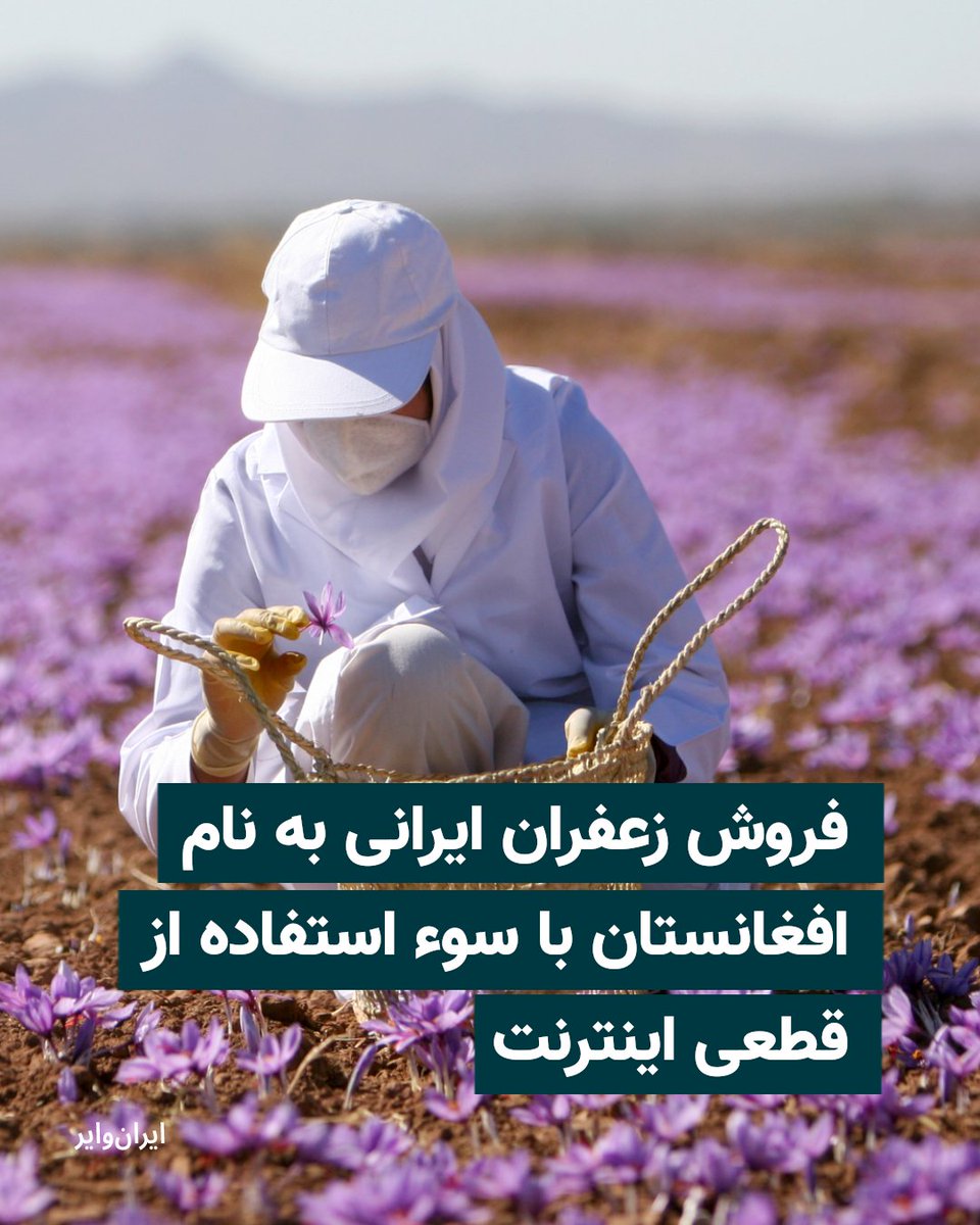 ایران وایر tweet media