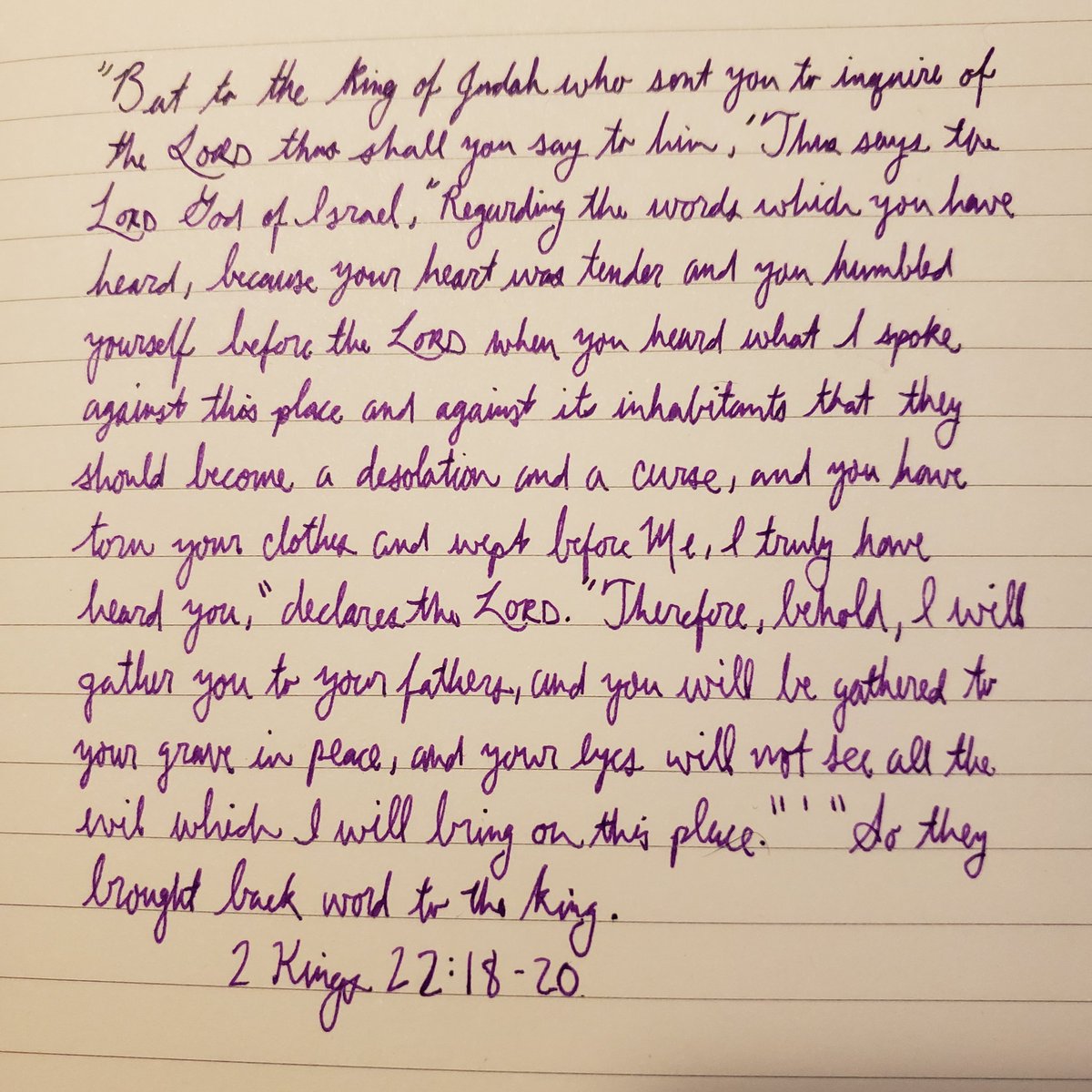 pesto spice petrichor✝️🇺🇲 tweet media