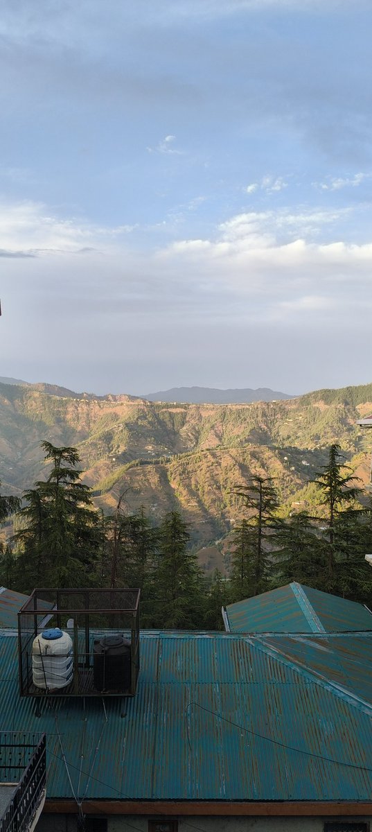 Amtthakur's tweet image. Peaceful evening 🥰

#eveningvibes #shimla