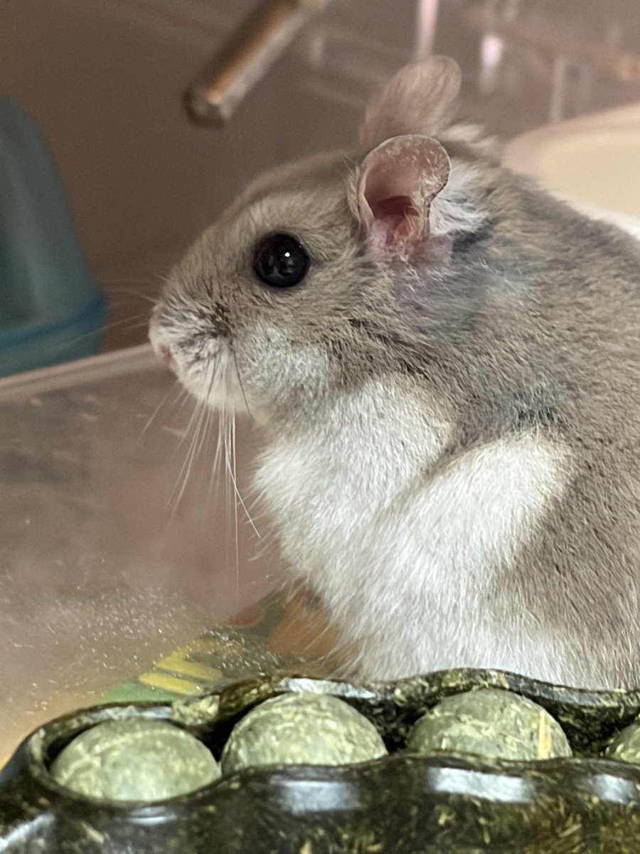 紫愛(じゅりあ) tweet media