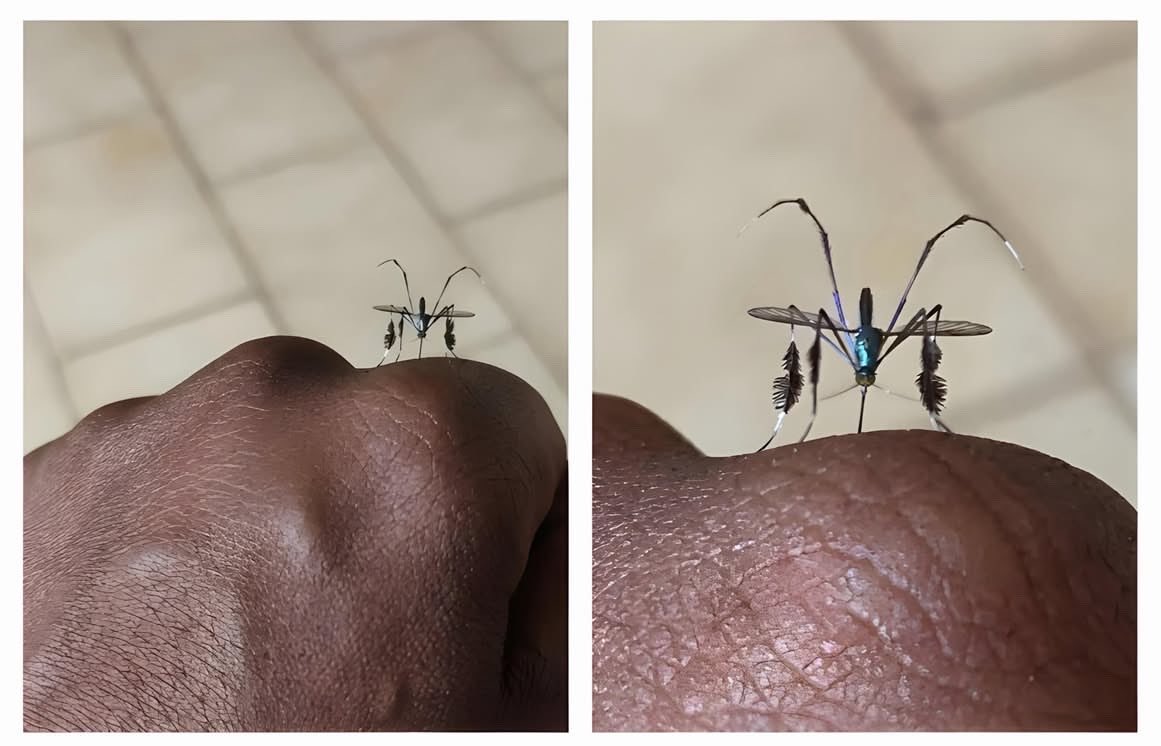 عبدالله tweet media