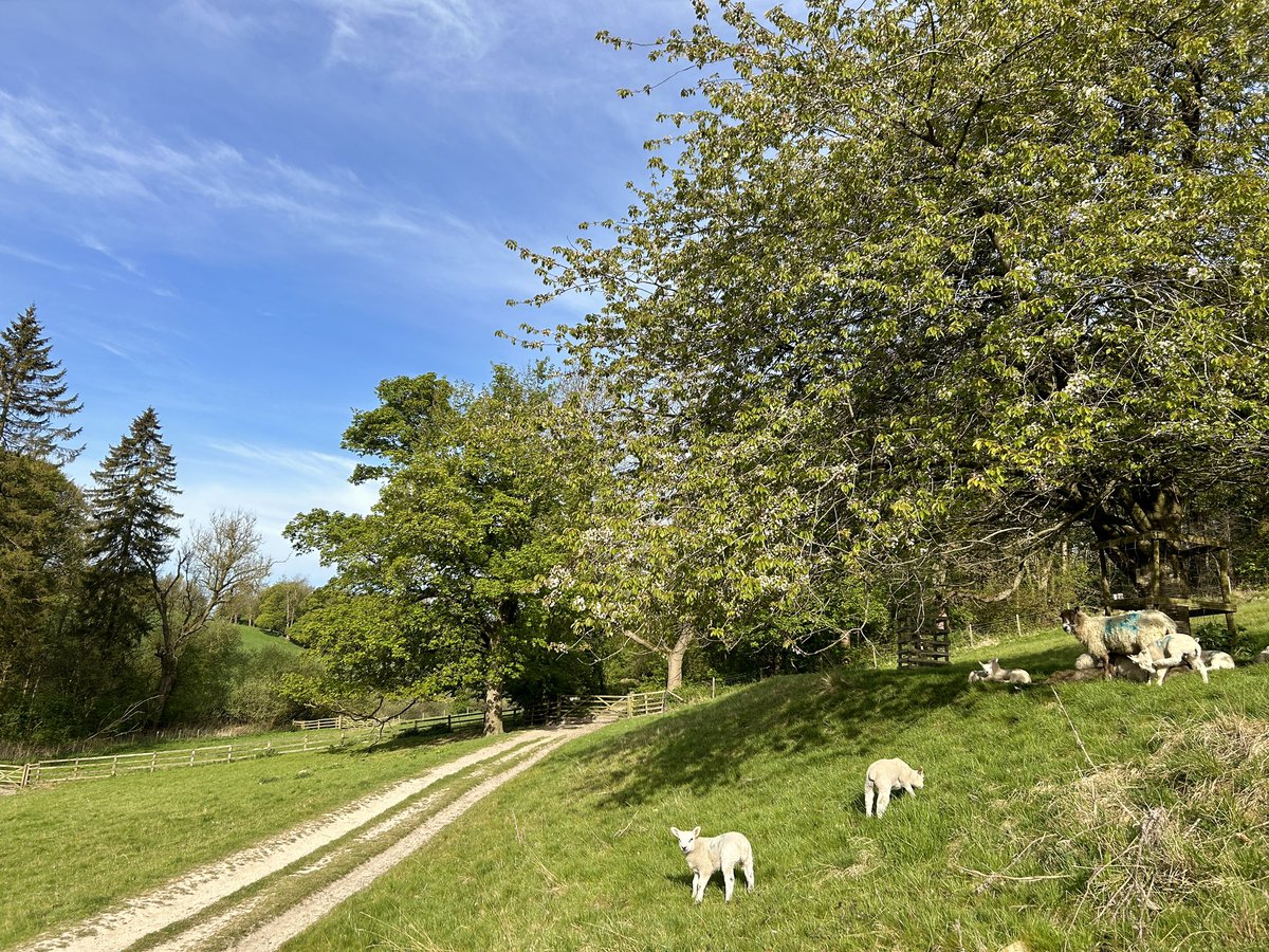 Yorkshire Wolds Weather tweet media