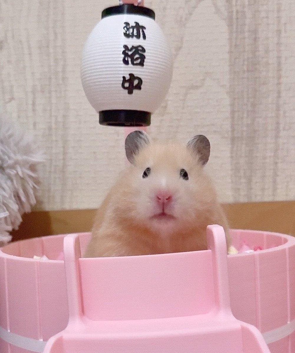 ♡りび♡ tweet media