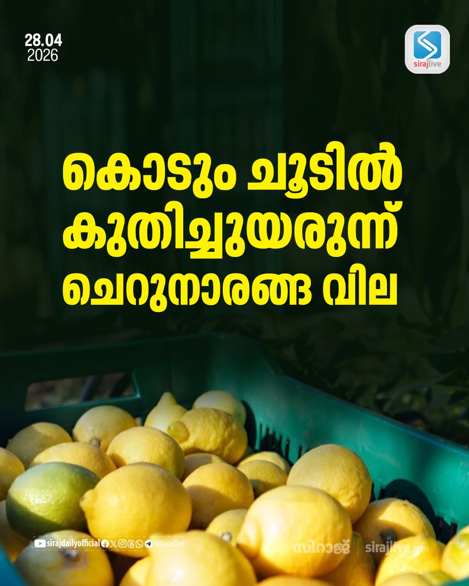 SirajOnLive's tweet image. കൊടും ചൂടില്‍ കുതിച്ചുയരുന്ന് ചെറുനാരങ്ങ വില
sirajlive.com/lemon-prices-s…
#lemon #SirajDaily #Sirajlive