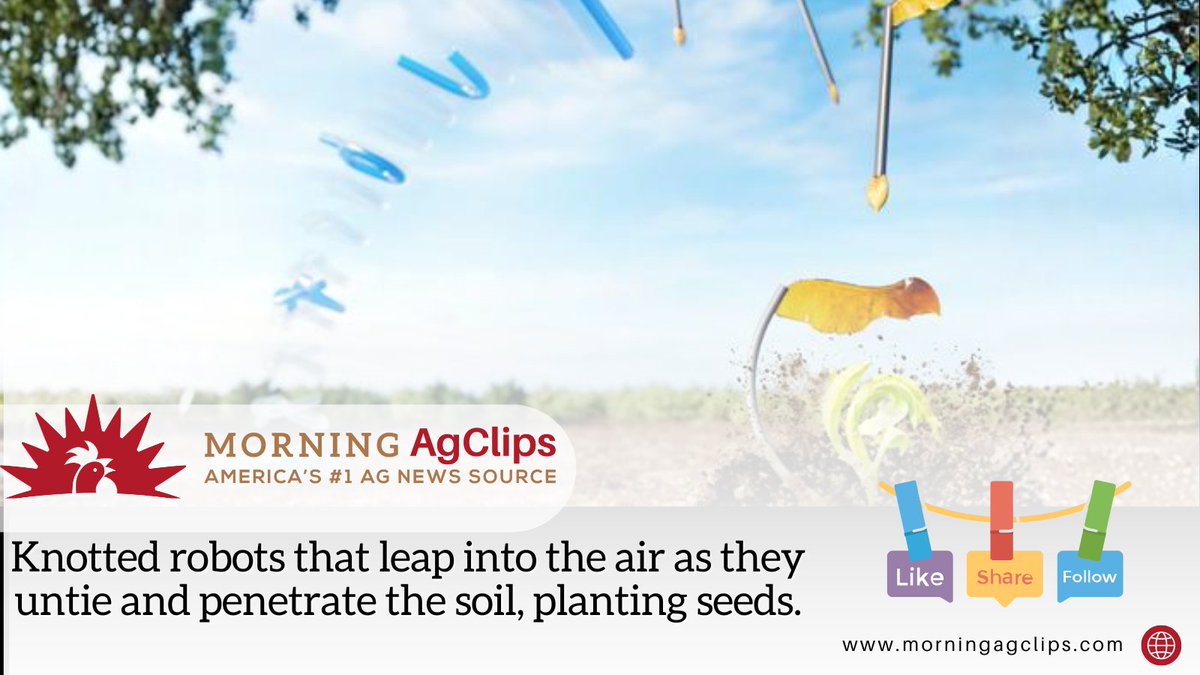 Ag Clips tweet media