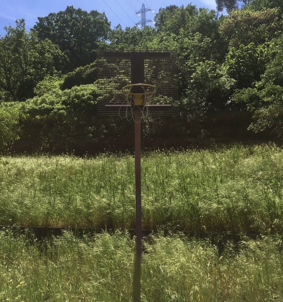 Dave Severns tweet media