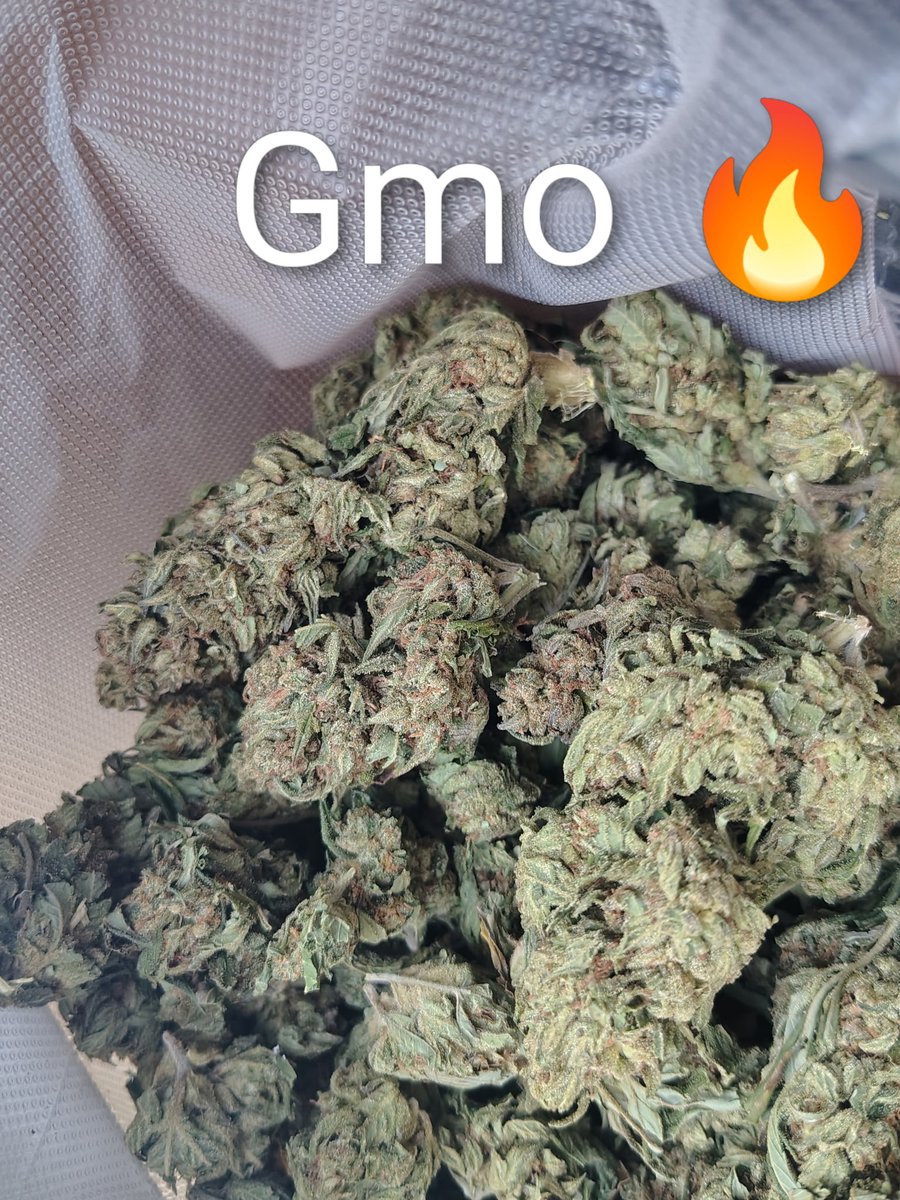 StonerNation490's tweet photo. Some of the higher grade bud we've got in stock! We've got 420 deals going on just a bit longer! DM to find out more! https://t.co/wrfjH9HZg9