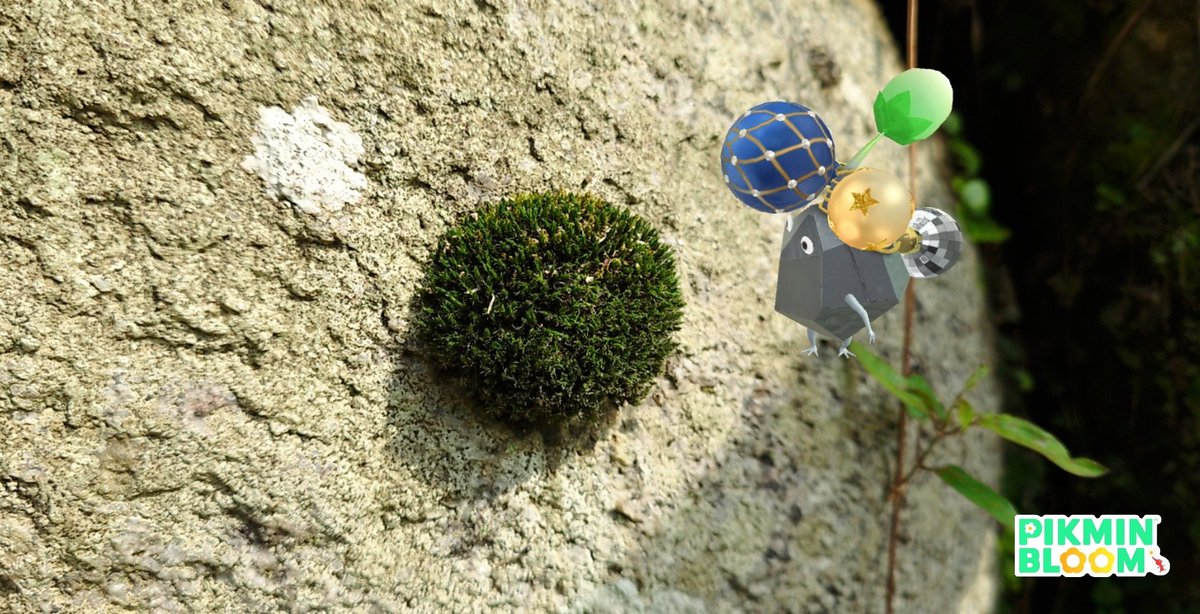 okaan20211101's tweet image. まあるいこけ見つけた

#PikminBloom #NianticAR #PikminAR #Pikminsnap #ピクミンブルーム