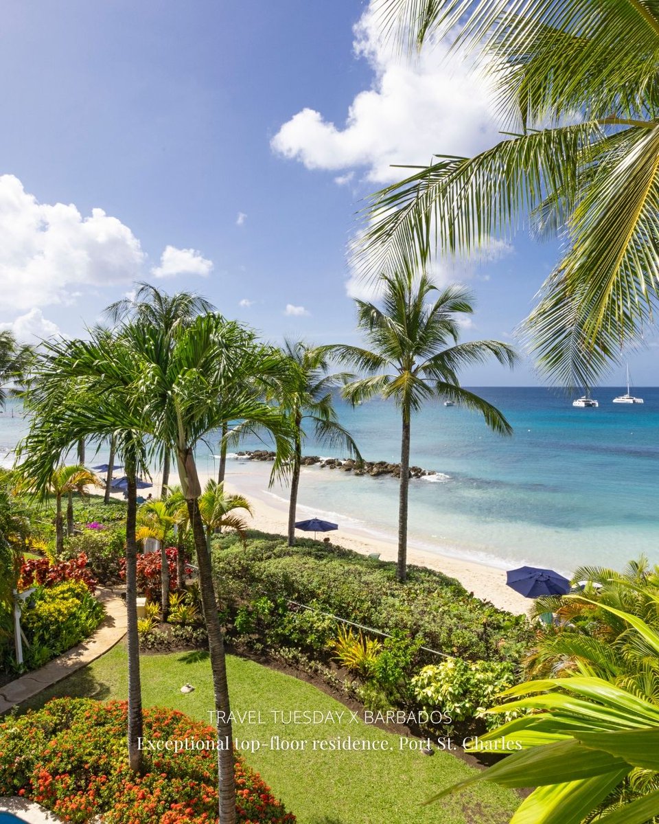 Monte-Carlo Sotheby's Int. Realty tweet media