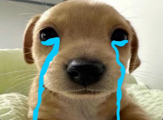 Ouppy Judeo-Bvllshevik tweet media