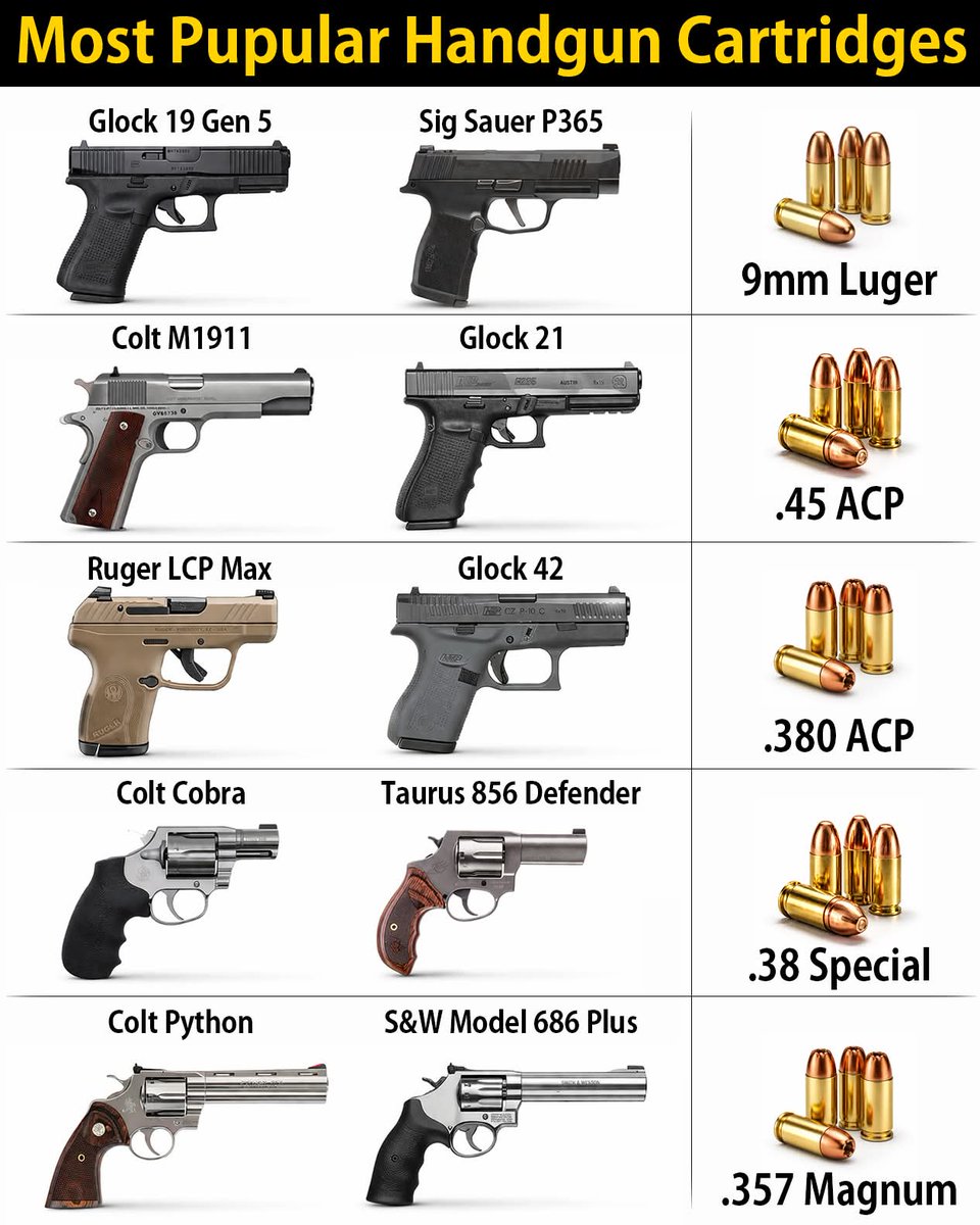 Gun Fanatics tweet media