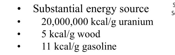 Arlo 🌸 tweet media