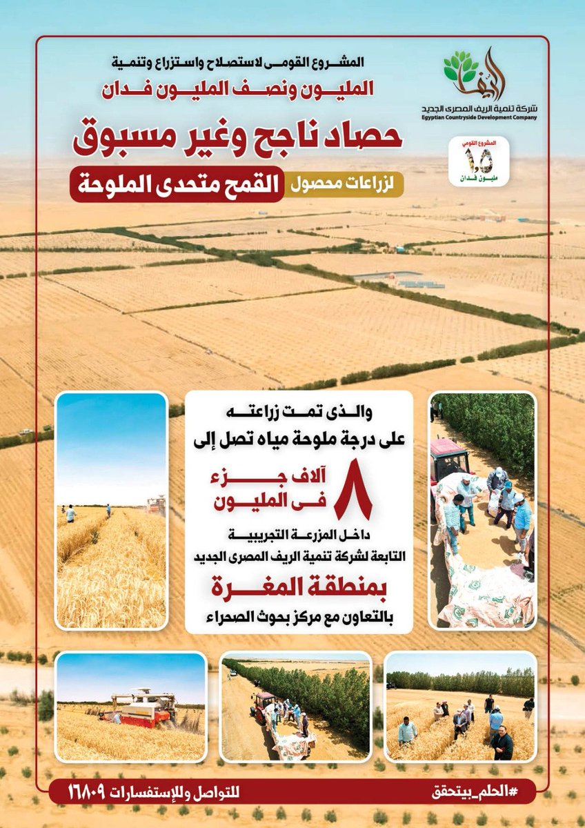 ʜᴀɴᴀɴ ʀᴇᴅᴀ tweet media