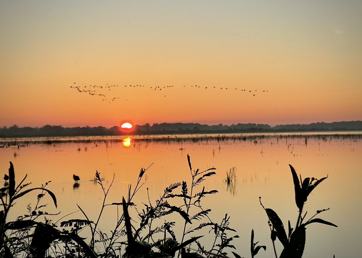 DaReeser tweet picture