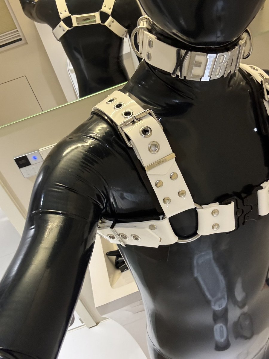 獬白豸安｜ tweet media