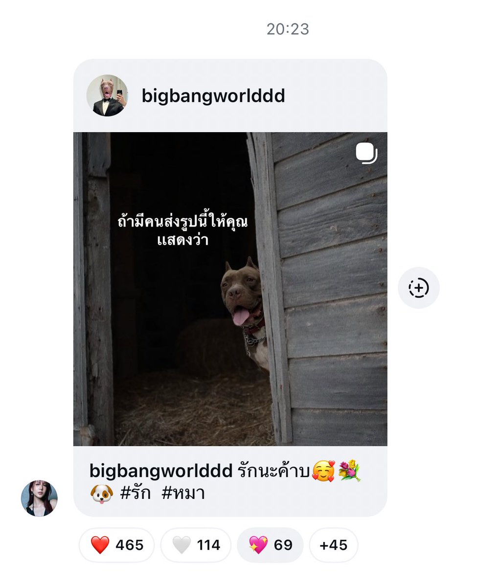 marqler’✿ tweet media