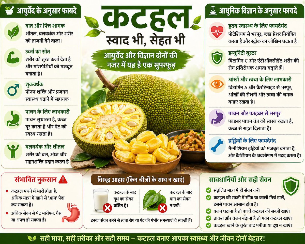 More20Vani80532's tweet image. स्वादिष्ट होने के साथ कटहल सेहत का खजाना भी है 🍃 फाइबर, पोटेशियम और विटामिन C से भरपूर यह शरीर को ताकत और संतुलन देता है। नियमित सेवन से पाचन सुधरता है और शरीर में नई ऊर्जा आती है ✨
#Nutrition #HealthTips #JackfruitBenefits #AyurvedaLife #Wellness