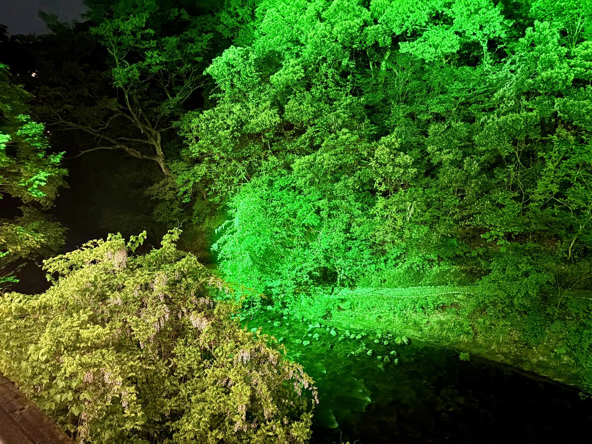 アイアン奥さん tweet media