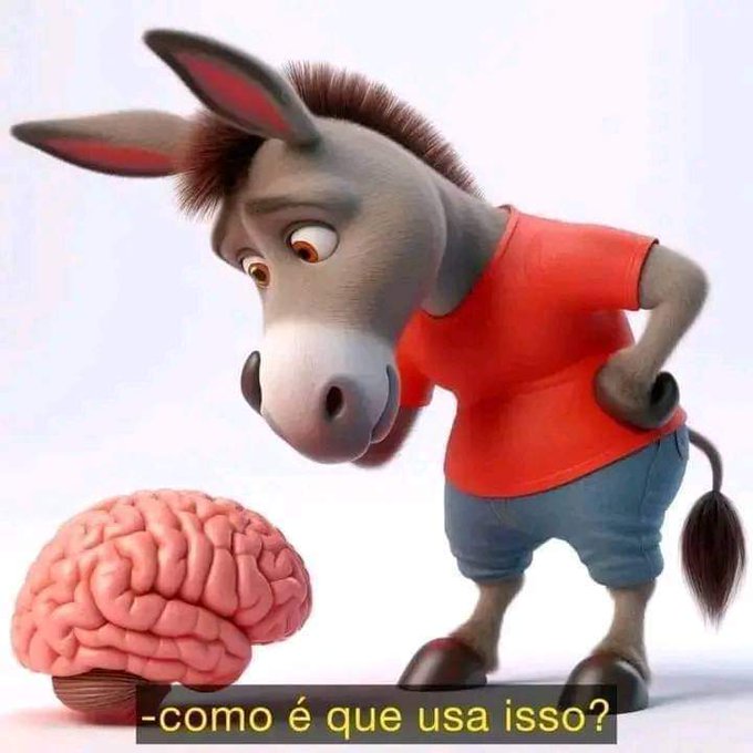 Augusto Tin tweet media