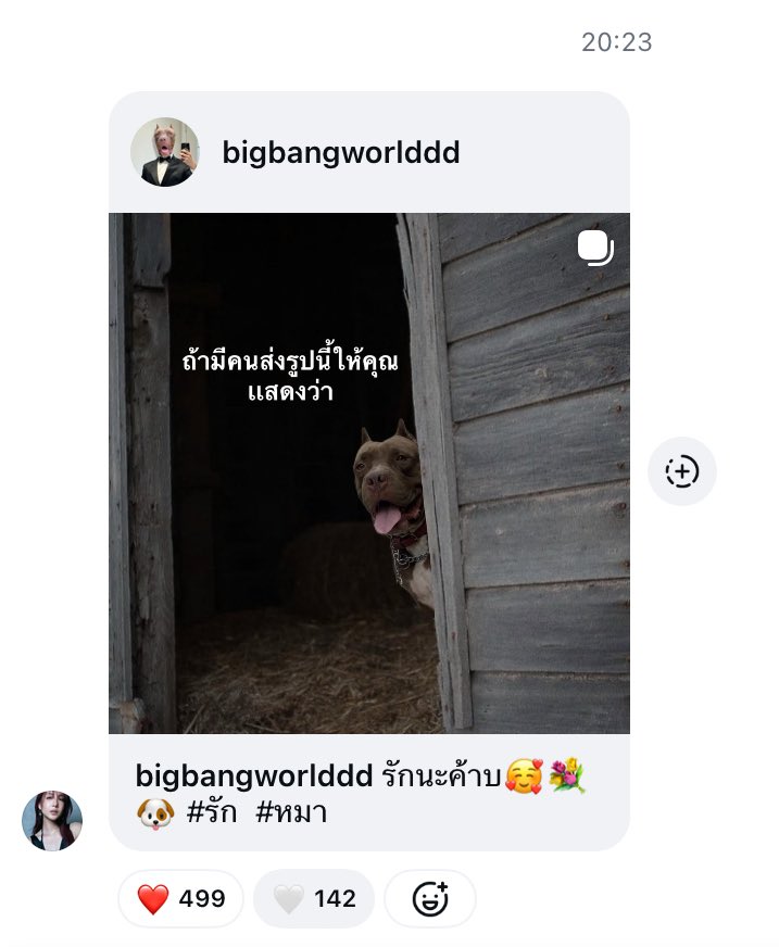 มิวจิก ꒰🌺꒱ tweet media