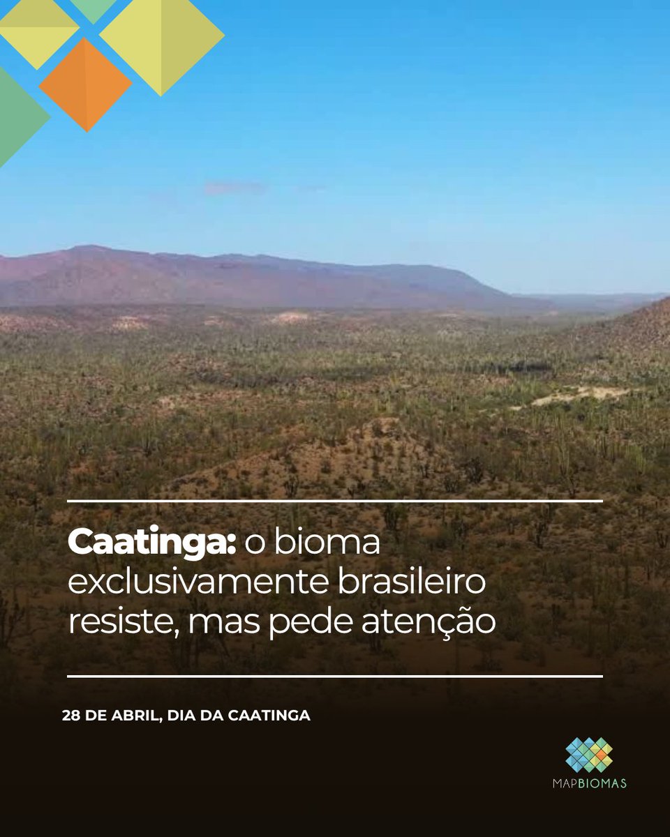 MapBiomas tweet media