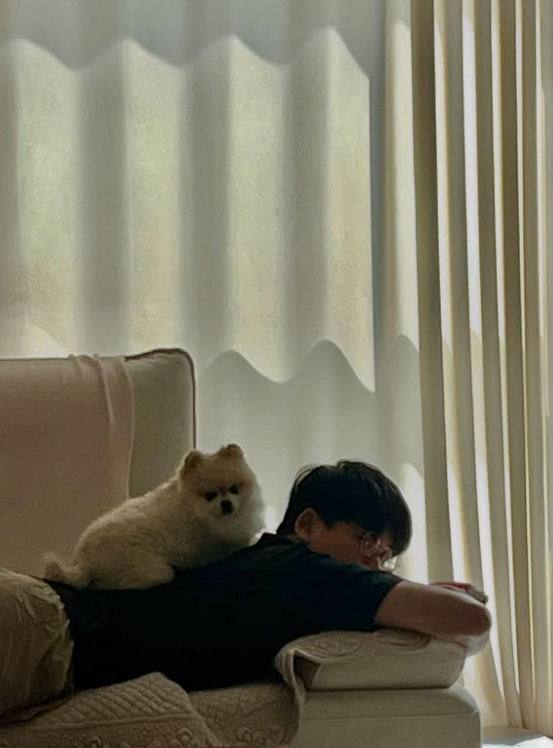 🐻🍊 tweet media