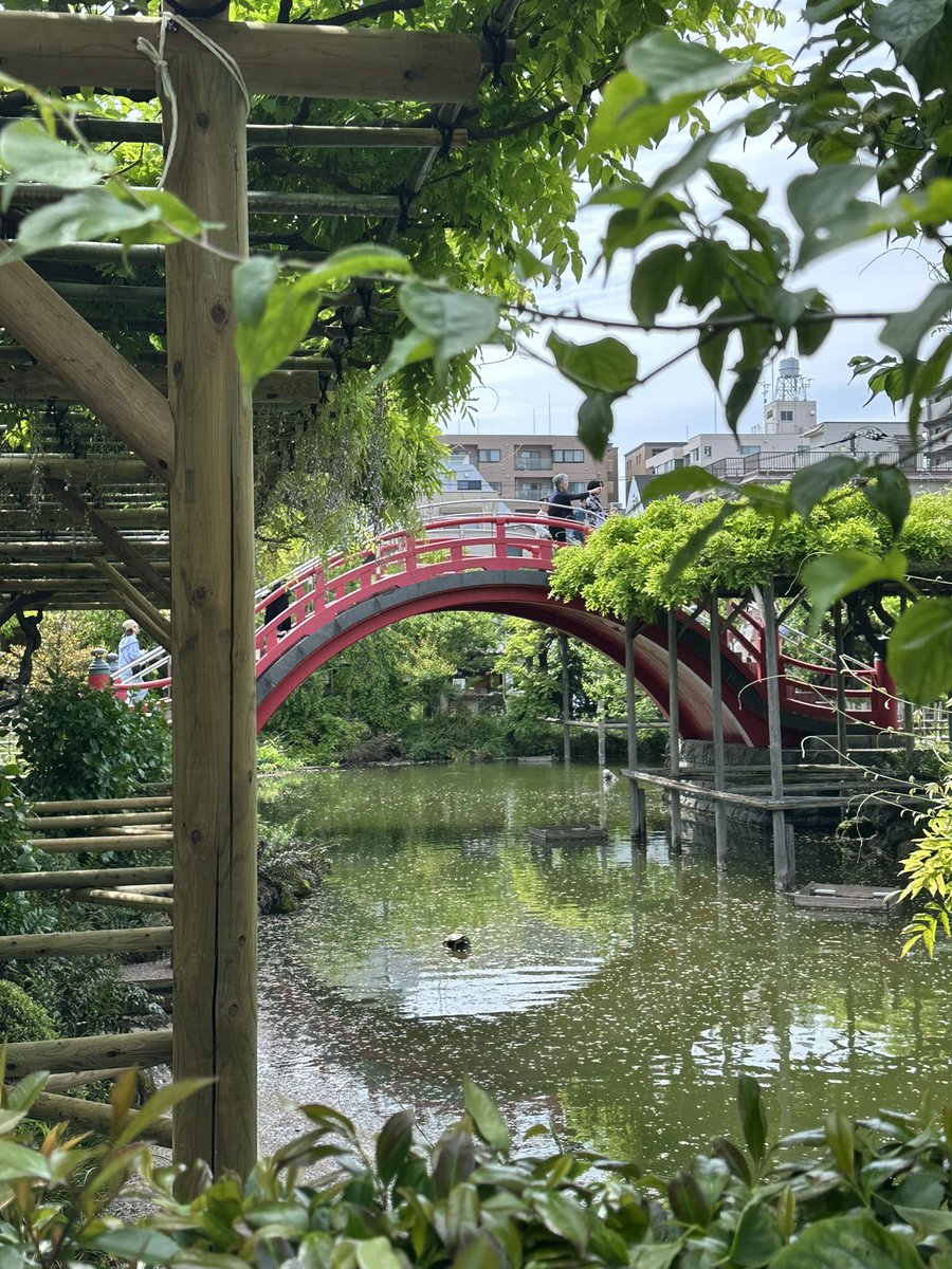 Día 10 completado: Tokyo Skytree, Pokémon Center y templos
