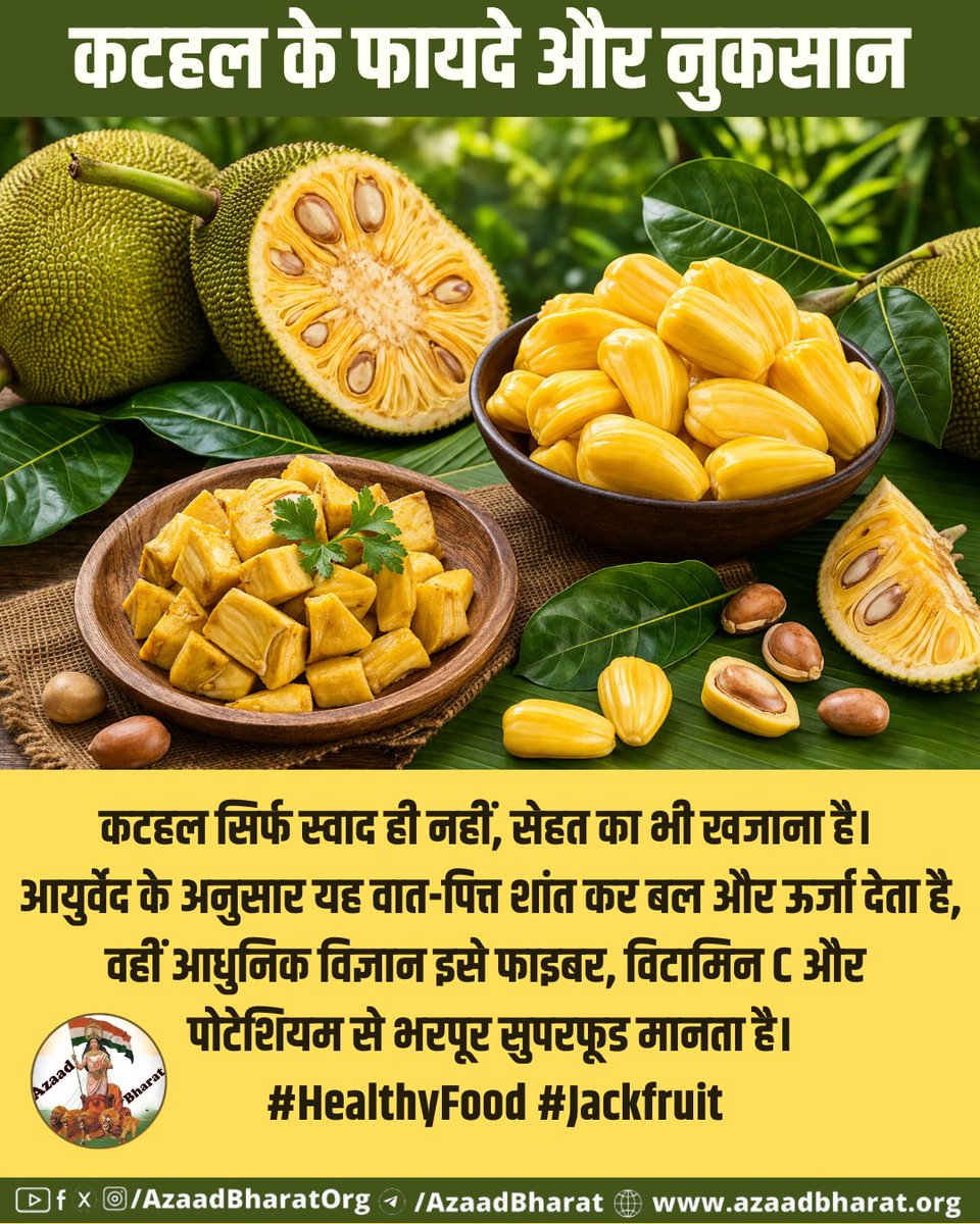 AzaadBharatOrg's tweet image. कटहल—स्वाद भी, सेहत भी! 🌿 आयुर्वेद के अनुसार यह वात-पित्त शांत कर शरीर को बल और ओज देता है, वहीं आधुनिक विज्ञान इसे फाइबर, पोटेशियम और विटामिन C से भरपूर बताता है—दिल, पाचन और इम्यूनिटी तीनों के लिए फायदेमंद। #Superfood #Jackfruit
azaadbharat.org/?p=14389