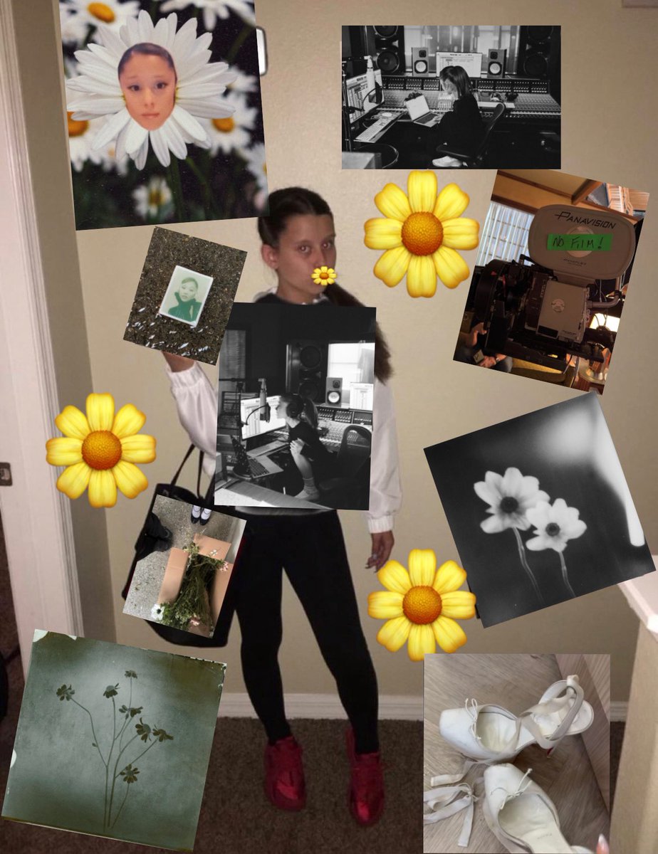 kaitꕤ (taylor’s version) tweet media