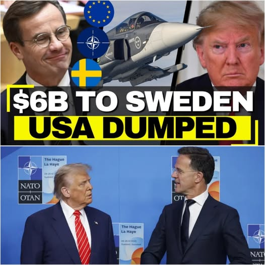 BigDaddy tweet media