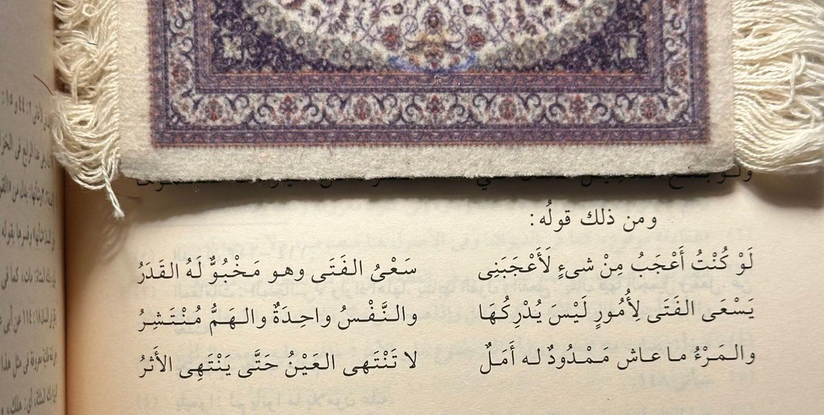 زهراء أيمن tweet media