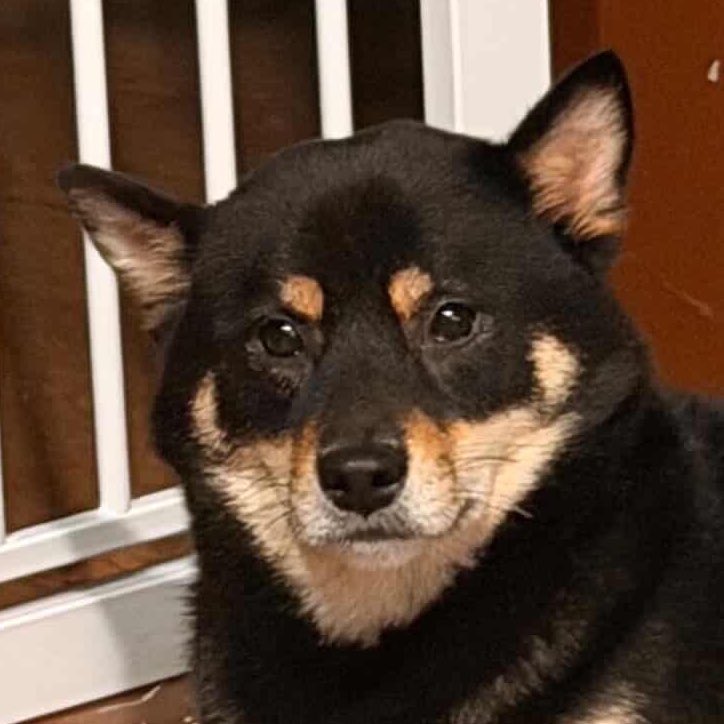 𝒀𝒖𝒎 𝑺𝒐 tweet media