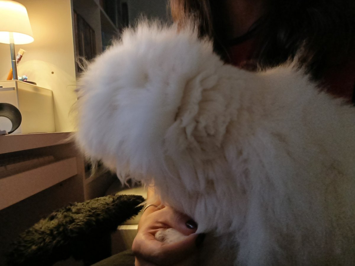 triz — #studytwt tweet media