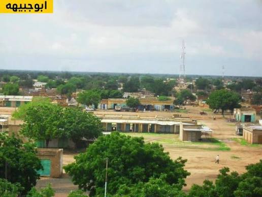 Dalia ElMahdi tweet media