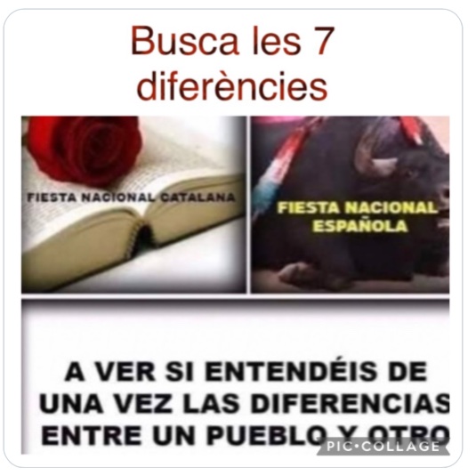 Cap-i-pota tweet media