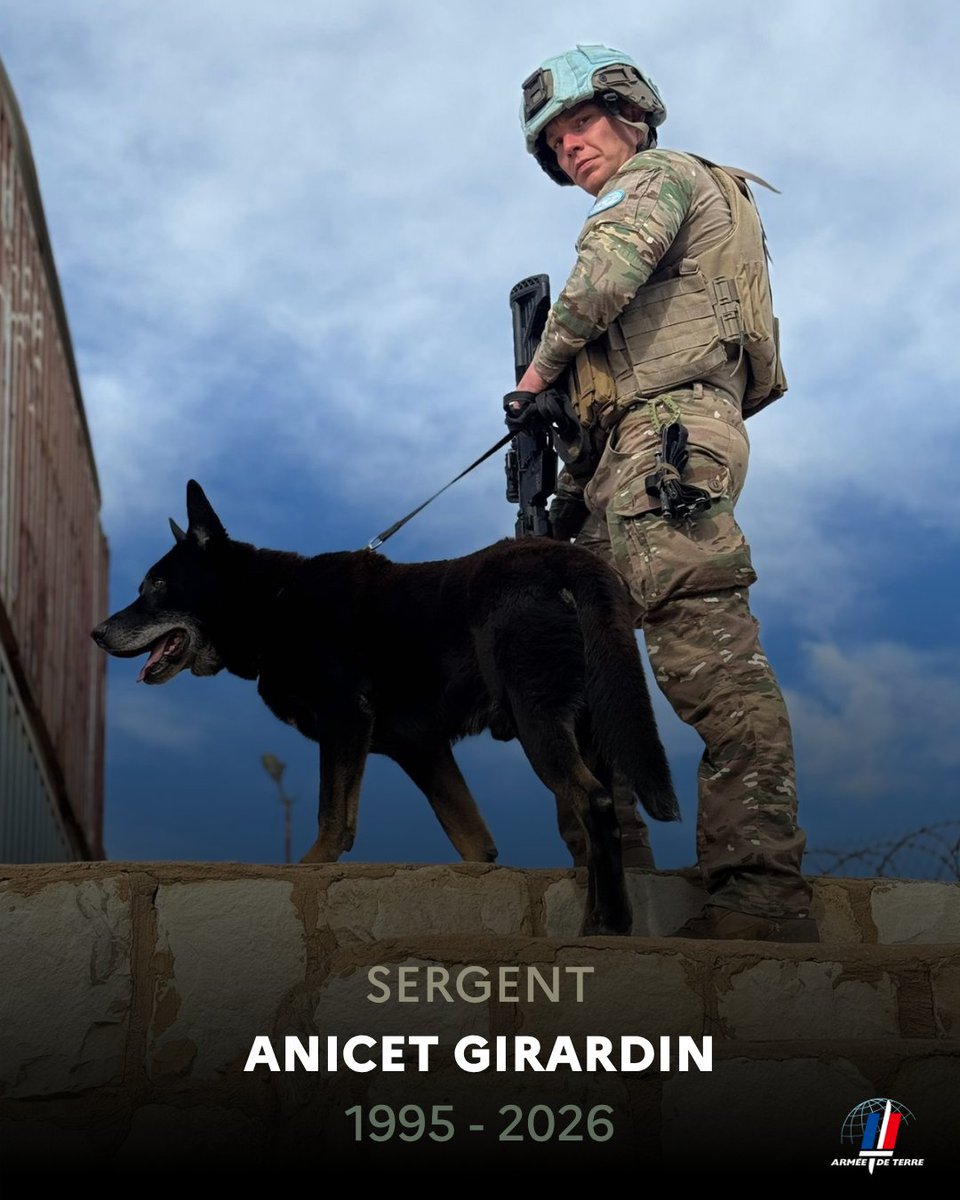 Armée de Terre tweet media